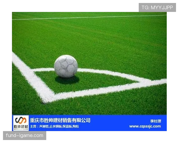草坪场地规则拆解：足球比赛对草坪的具体标准有哪些？